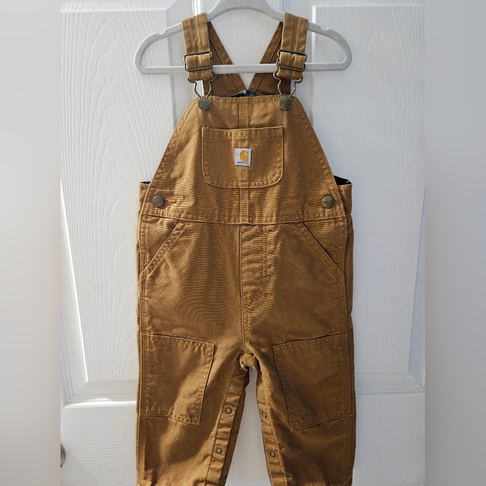 Carhartt Bibs